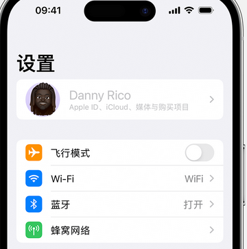 乌拉特后appleID维修服务iPhone设置中Apple ID显示为灰色无法使用 