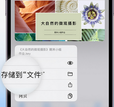 乌拉特后apple维修中心分享iPhone文件应用中存储和找到下载文件