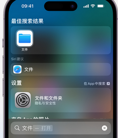 乌拉特后apple维修中心分享iPhone文件应用中存储和找到下载文件