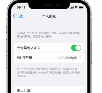 乌拉特后apple服务站点分享iPhone上个人热点丢失了怎么办 