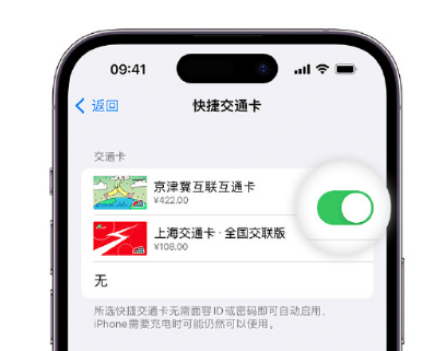 乌拉特后apple维修点分享iPhone上更换Apple Pay快捷交通卡手绘卡面 