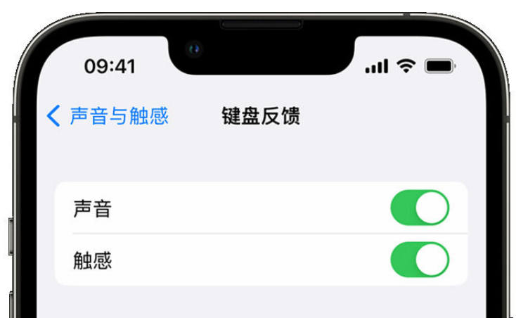 乌拉特后苹果手机维修分享iPhone 14触感键盘使用方法 
