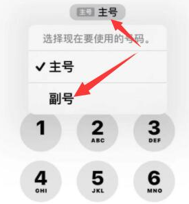 乌拉特后苹果14维修店分享iPhone 14 Pro Max使用副卡打电话的方法 