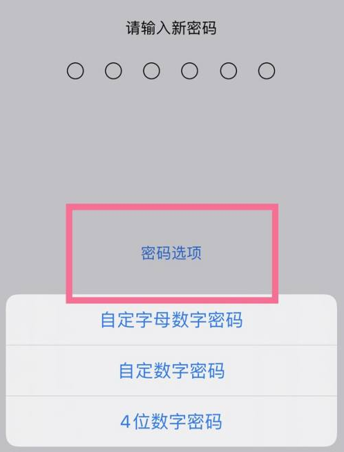 乌拉特后苹果14维修分享iPhone 14plus设置密码的方法 