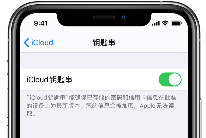 乌拉特后苹果手机维修分享在 iPhone 上开启 iCloud 钥匙串之后会储存哪些信息 