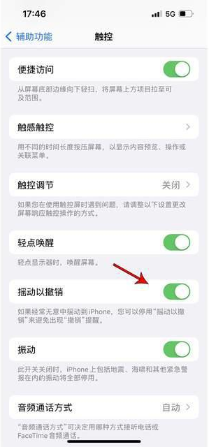 乌拉特后苹果手机维修分享iPhone手机如何设置摇一摇删除文字 