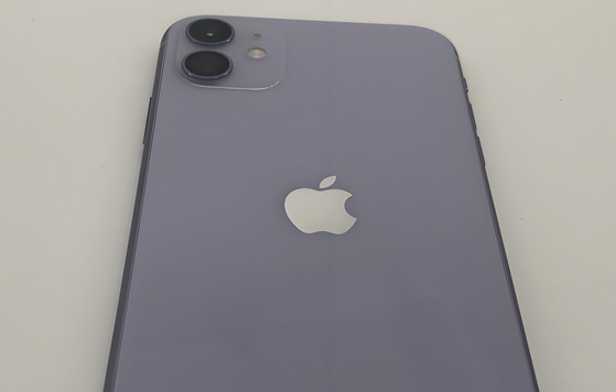 乌拉特后苹果11系统维修分享iPhone11手机系统崩溃无法开机如何解决 